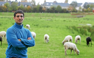Matthieu élève des moutons avranchins, une race locale menacée, ici au Rheu.