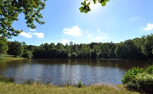 L'étang de Saint-Sulpice-les-Champs (Creuse), près duquel a été retrouvé le corps d'un bébé de 4 mois, le 31 aout 2014.