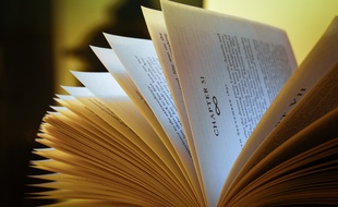 TonBookToo est une nouvelle application de prêt, de don ou d'achat de livres entre particuliers.