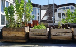 Des balcons cultivés avec La box à planter
