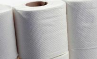Des rouleaux de papier toilette