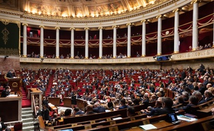 Les députés à l'Assemblée nationale, le 29 janvier 2019.