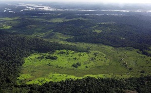 Les déboisements en Amazonie ont pratiquement triplé au cours des trois premiers mois de cette année par rapport à la même période de l'année dernière, a indiqué jeudi l'Institut brésilien de recherches spatiales (Inpe) sur la base de données satellitaires provisoires