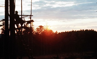 Les miradors des chasseurs sont pris pour cible.