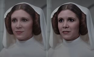 Le travail de Shamook sur la princesse Leia
