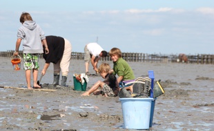 Illustration d'une famille pêchant dans la baie du mont Saint-Michel.