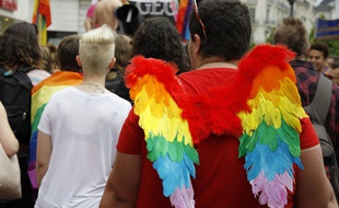 Illustration de la Marche des Fiertés, ici le 28 mai 2016, à Grenoble.