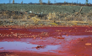 La rivière Doldykane, qui s’écoule à travers les forêts du Grand Nord russe, s’est mystérieusement teinté d'une couleur rouge sang.