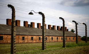 Auschwitz (Pologne), le 25 juin 2015.