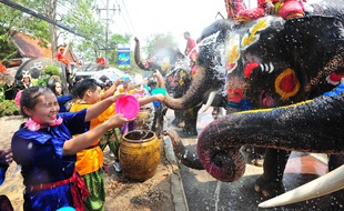 Les éléphants, aux corps peints de fleurs, arrosent les festivaliers.