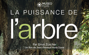 Affiche du film La puissance de l'arbre avec Ernst Zürcher