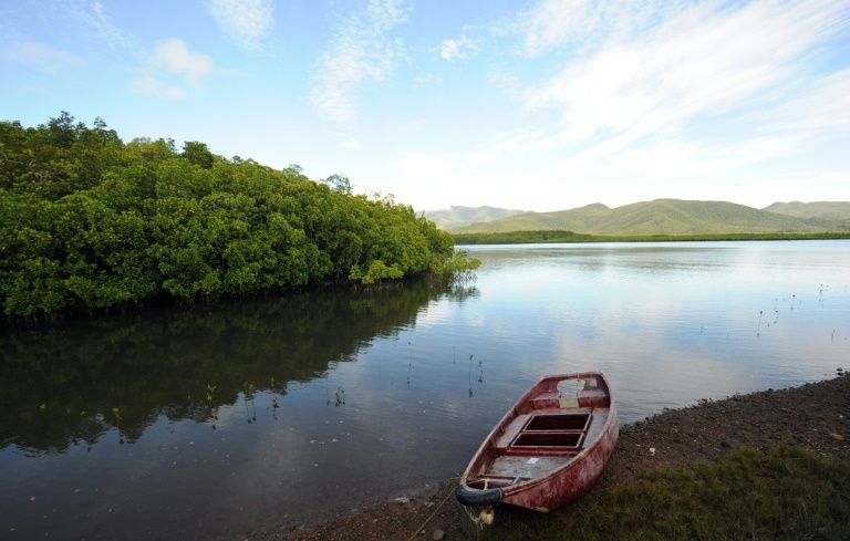 Mangrove dans la baie d'Ulugan à Puerto Princesa, sur l'île de Palawan aux Philippines