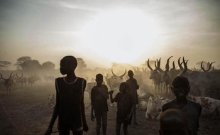 Des enfants de l'ethnie Dinka gardent le bétail à Yirol, dans le centre du Soudan du Sud, le 12 février 2014