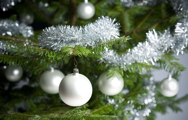 Où jeter son sapin de Noël sans risquer une amende ? 640x410_illustration-sapin-noel