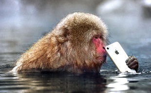 Le Défi photo Apple est ouvert à tous jusqu'au 7 février 2019.
