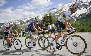 Alaf portera le maillot arc-en-ciel sur les routes du Tour, mais promis ce n'est pas une provoc envers la Hongrie.