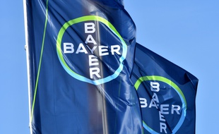 Illustration du groupe Bayer, qui a racheté Monsanto.