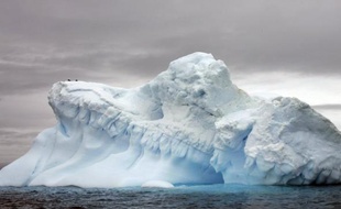Des graines transportées par mégarde en Antarctique par des touristes et scientifiques menacent les écosystèmes fragiles du continent le plus isolé de la planète, selon une étude internationale publiée lundi aux Etats-Unis.