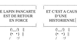 Le lapin pancarte ASCII est de retour... en 2018
