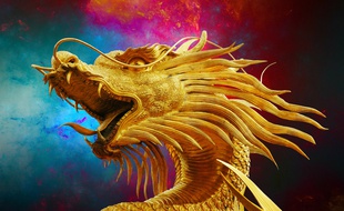 Illustration d'un dragon.