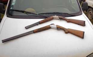 Illustration de fusils de chasse.