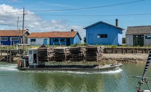 Les vols ont été réalisés au moyen d'un tracteur ou d'un bateau.