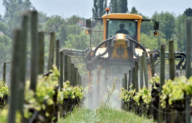 Gironde: «Plus on a de bio, plus on aura de tonnages de pesticides», estime l'interprofession viticole