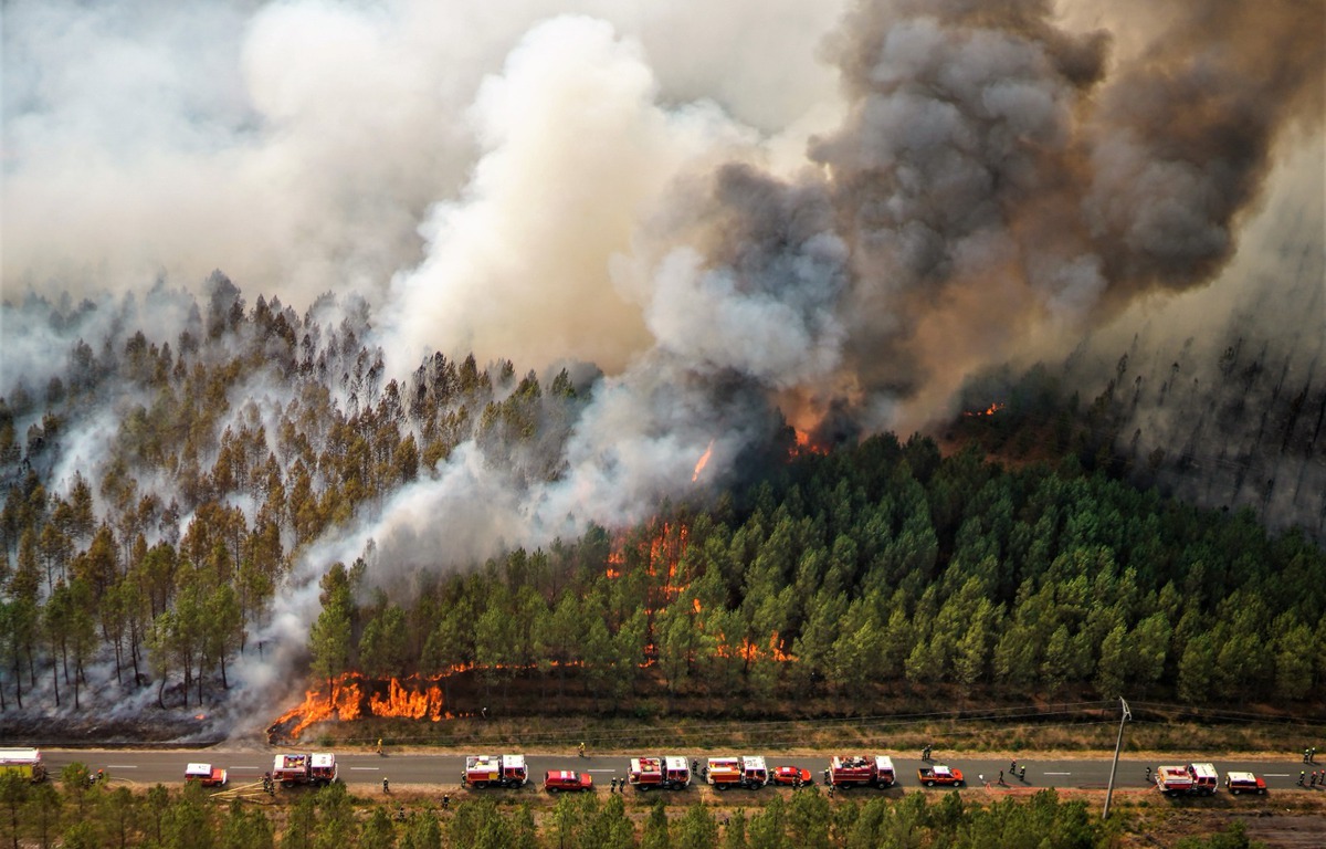 Gironde : Le responsable de l'incendie géant de Landiras n'a pas pu être identifié