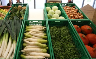 Strasbourg: Bientôt 50% de produits locaux vendus dans les restaurants et commerces du centre? (Illustration)