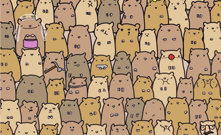 Il faut être attentif pour retrouver la pomme de terre cachée parmi les hamsters.