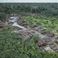 Deux bûcherons tués au Pérou, sur le territoire d’Indiens d’Amazonie