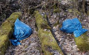 Des sacs poubelle abandonnés dans la nature (illustration).