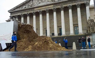 Le 16 janvier 2014, un camion déverse du fumier devant l'Assemblée nationale.