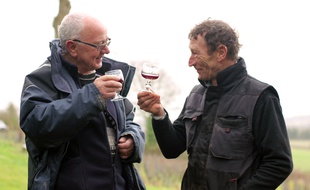 Bernard Tardivel (à gauche) et Jean-Pierre Vivier sur la vigne de Saint-Suliac où ils ont planté des ceps donnant du vin rouge.
