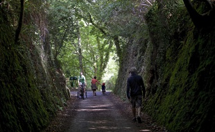 La forêt couvre 14% du territoire en Bretagne, un chiffre bien inférieur à la moyenne nationale.