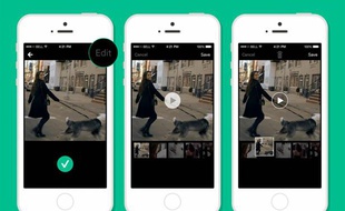 L'application mobile Vine.