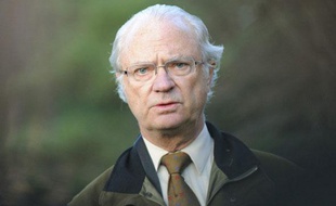 Le Roi de Suède Carl XVI Gustaf, le 4 novembre 2010.