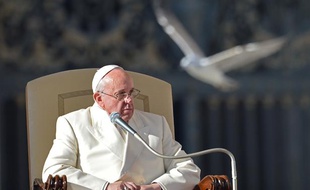 Le pape François, ici au Vatican le 18 décembre 2013, s'est retrouvé pris dans une mauvais remake du film «Les oiseaux» d'Alfred Hitchcock, le 26 janvier 2014