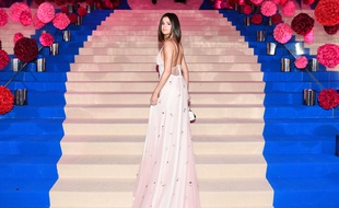 Un fan de Selena Gomez lui a envoyé un bouquet en forme de pénis...