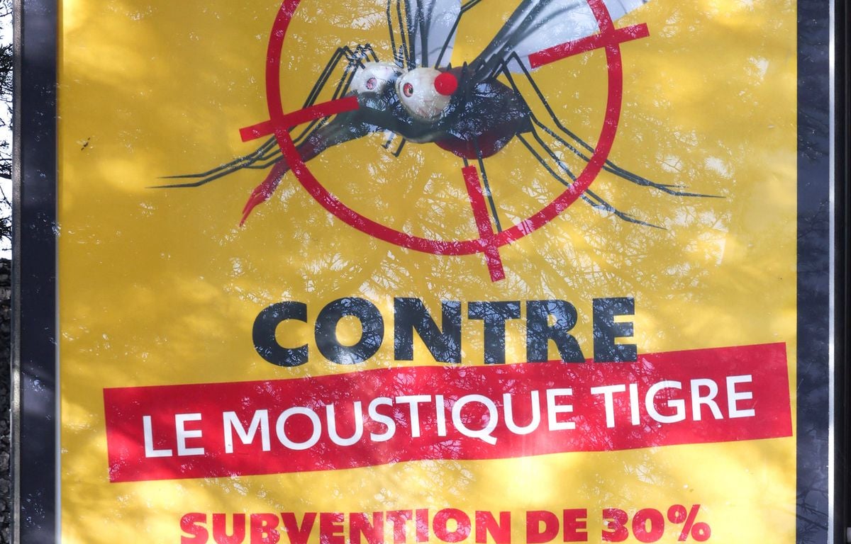 Chikungunya : Ampleur inédite des cas autochtones en métropole cet été
