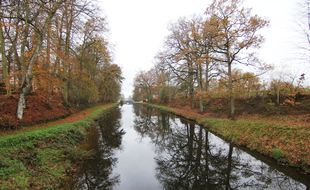 De nombreux arbres vont être plantés au bord du canal d'Ille et Rance. Comme ici, sur le site des 11 écluses à Hédé-Bazouges.