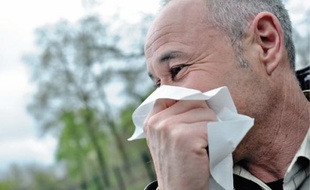 Des cas de plus en plus complexes d'allergies multiples sont relevés.