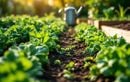 Ne jetez plus les fanes en fin d’été : ce paillage naturel booste vos légumes d’automne et enrichit la terre