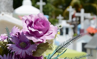 Les vols de fleurs se multipliaient depuis deux ans au cimetière de La Lucerne-d’Outremer (illustration).