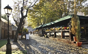 Malgré son passé douloureux, Belgrade a su se relever et nous offre un cadre enchanteur, propice à la rêverie et à la découverte.