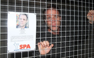 Rémi Gaillard s'est enfermé pendant quatre jours dans une cage de la SPA, en novembre. Les dons ont afflué et le nombre d'adoptions s'est intensifié.
