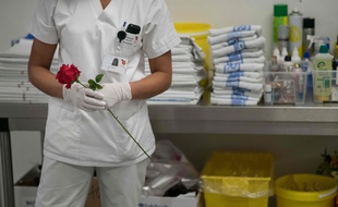 Une rose en plastique tenue par une agente à la morgue de l'hôpital Emile Muller à Mulhouse.