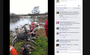 L'âne Mike, sauvé des eaux en Irlande, semble sourire à ses sauveteurs, le 6 décembre 2015.