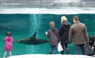 Des visiteurs au zoo de Vincennes, le 27 avril 2014