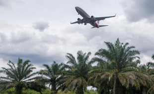 Un avion de Malaysia Airlines s'apprête à atterrir à l'aéroport de Kuala Lumpur, le 27 août 2014